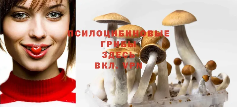 Галлюциногенные грибы MAGIC MUSHROOMS  OMG онион  Бирюсинск 